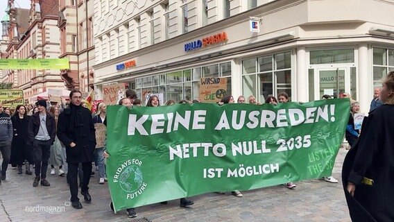 Ein Demonstrationszug eines Globalen Klimastreikes. © Screenshot 