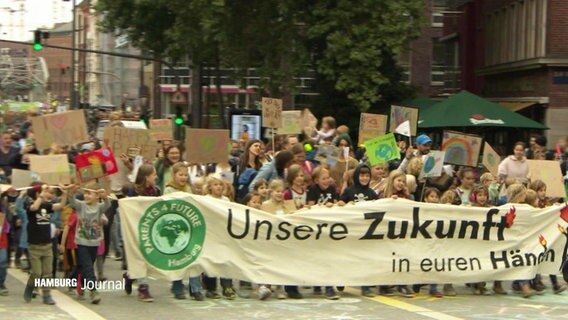 Ein Demozug bewegt sich auf einer großen, mehrspurigen straße. Die Vordersten halten ein größeres Banner von Fridays For Future. © Screenshot 