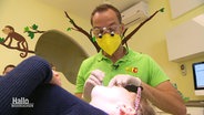 Ein Zahnarzt kontrolliert die Zähne eines Kindes. © Screenshot 