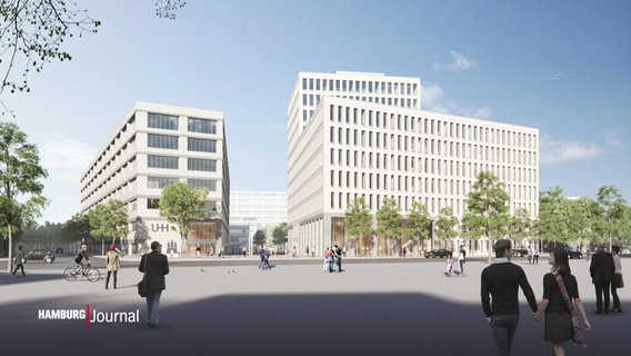 Der geplante Neubau der Uni Hamburg. © Screenshot 