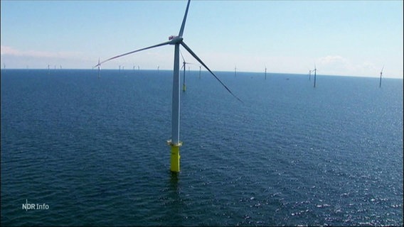 Windräder zur Stromerzeugung im Meer. © Screenshot 