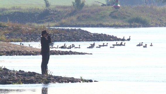 Eine Person steht an der Elbe und beobachtet Vögel. © Screenshot 