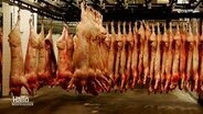 Schweinehälften hängen von der Decke einer Schlachthalle (Archivaufnahme). © Screenshot 