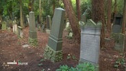 Grabsteine auf einem jüdischen Friedhof. © Screenshot 