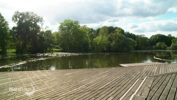 Ein Steg an einem Teich im Inselpark Wilhelmsburg. © Screenshot 