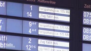 Eine Anzeigentafel der Deutschen Bahn mit zahlreichen verspäteten Zügen. © Screenshot 