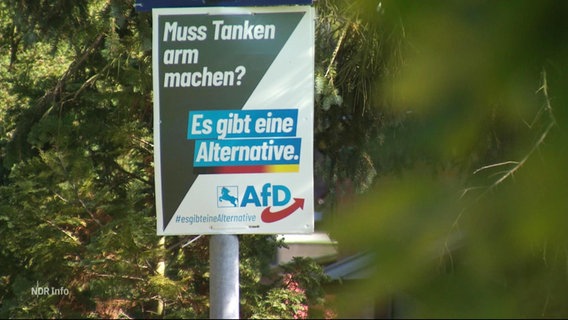 Ein AfD-Wahlplakat an einer Laterne. © Screenshot 