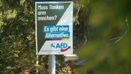 Ein AfD-Wahlplakat an einer Laterne. © Screenshot 