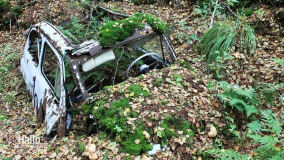 Eine Fotografie eines Autowracks in der Diepholzer Moorniederung © Screenshot 