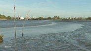 Schlick am Hafen in Borsfleth © Screenshot 