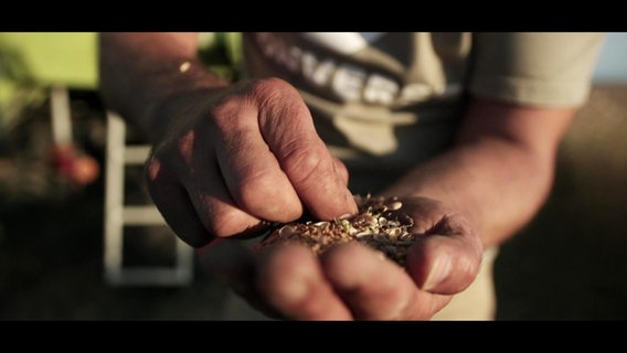 Jemand hält geschrotetes Getreide in der Hand. © Screenshot 
