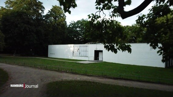 Das Ernst Balach Haus © Screenshot 