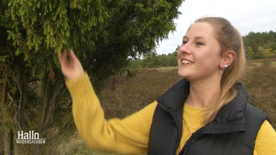 Heidekönigin Franziska Röhrs erklärt, warum Wachholder in der Heide so gut wachsen kann. © Screenshot 