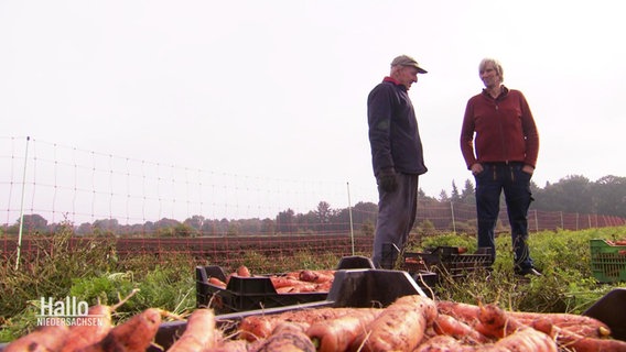 Zwei Landwirte unterhalten sich, davor stehen Kisten mit frisch geernteten Möhren. © Screenshot 