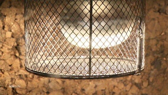 Nahaufnahme einer Wärmelampe in einem Terrarium. © Screenshot 