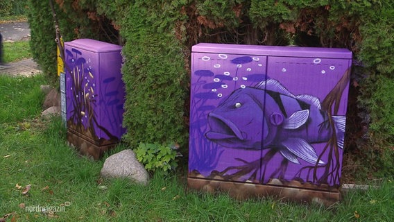 Zwei Stromkästen sind mit lila Fischen angemalt. © Screenshot 