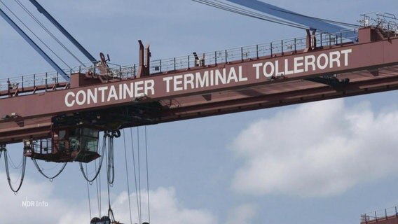 Ein Kran mit der Aufschrift "Container Terminal Tollerort". © Screenshot 