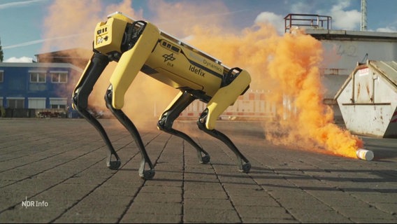 Ein vierbeiniger Roboter macht eine hinabbeugende Geste vor einer orangefarbenen Rauchgasbombe auf einem Hafengelände. © Screenshot 