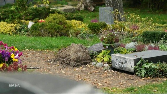 Auf einem Friedhof ist ein Grabstein von seinem Sockel abgerissen und liegt daneben im Gras. © Screenshot 