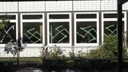 Auf die Fenster  einer Schule wurden Hakenkreuze gesprüht. © Screenshot 