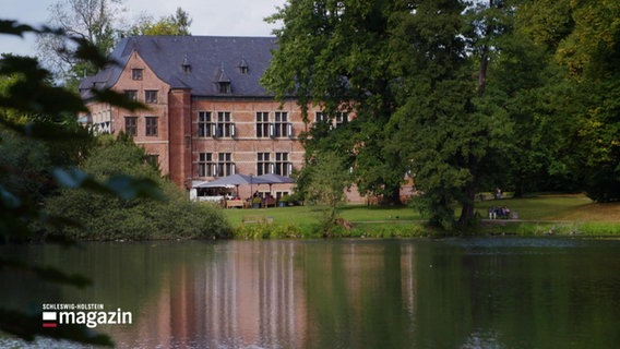 Das Schloss Reinbek im Park. © Screenshot 