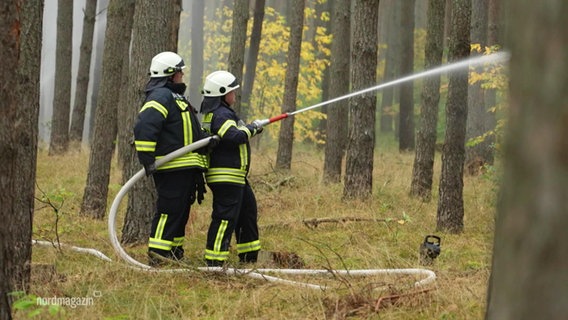 Zwei Feuerwehrleute üben das Löschen von Waldbränden © Screenshot 