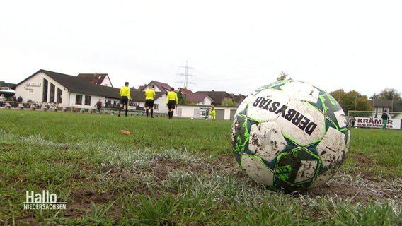 Ein Fußball liegt auf einer Wiese. Im Hintergrund laufen drei Schiedsrichter. © Screenshot 