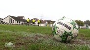 Ein Fußball liegt auf einer Wiese. Im Hintergrund laufen drei Schiedsrichter. © Screenshot 