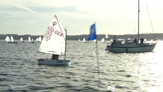 Segelschiffe auf dem Schweriner See © Screenshot 