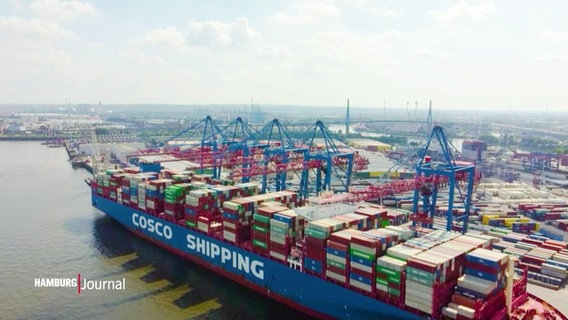 Ein Containerschiff am Hamburger Hafen. © Screenshot 