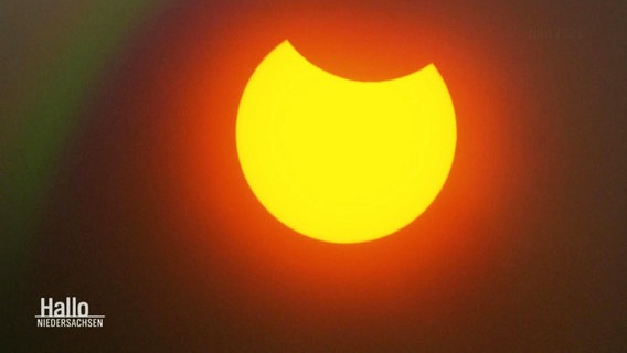 So ungefähr wird die Sonnenfinsternis aussehen. Die Aufnahme stammt aus dem Juni 2021. © Screenshot 