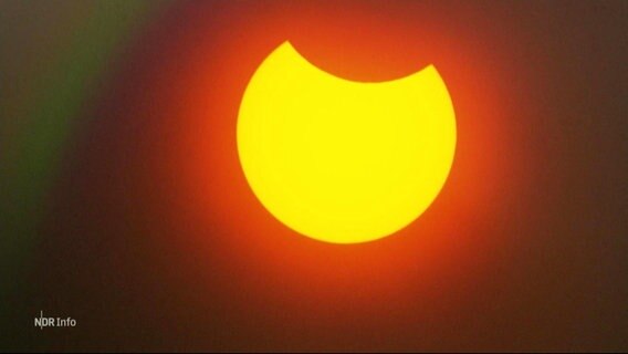 Sonnenfinsternis. © Screenshot 