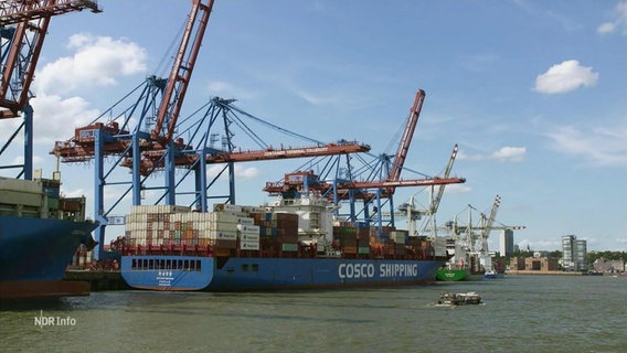 Ein Containerschiff der Reederei Cosco im Hamburger Hafen. © Screenshot 