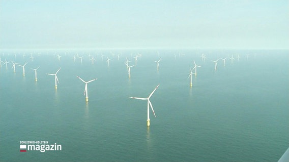 Ein Windpark im Meer. © Screenshot 
