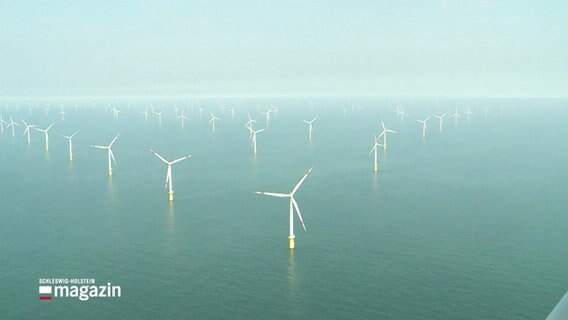 Ein Windpark im Meer. © Screenshot 