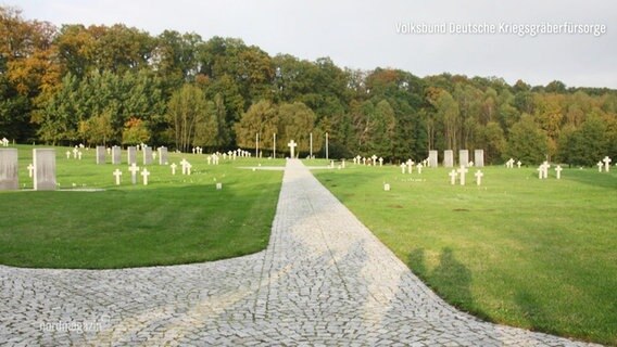 Diesem Friedhof nahe Stettin sollen die Spenden zugute kommen. Das Bild zeigt dutzende weiße Kreuze auf einer hellgrünen Wiese. © Screenshot 
