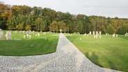 Diesem Friedhof nahe Stettin sollen die Spenden zugute kommen. Das Bild zeigt dutzende weiße Kreuze auf einer hellgrünen Wiese. © Screenshot 