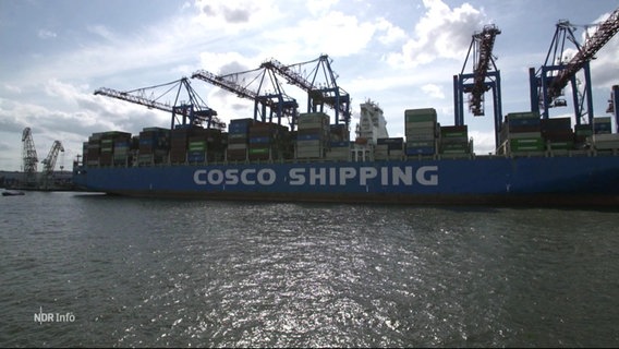 Ein Containerschiff der Reederei Cosco im Hamburger Hafen. © Screenshot 