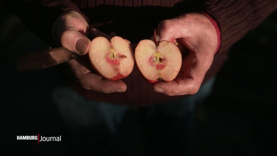 Zwei Hände mit einem Apfel in zwei Hälften. © Screenshot 