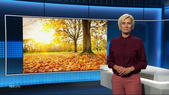 Susanne Stichler moderiert NDR Info 21:45. © Screenshot 