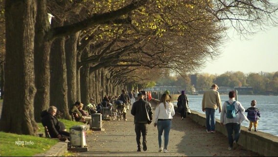 Sommerwetter in Hamburg. © Screenshot 