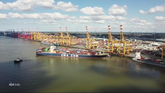 Das Containerterminal Tollerort aus der Vogelperspektive. © Screenshot 