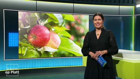 Vanessa Kossen moderiert De Noorden op Platt. © Screenshot 