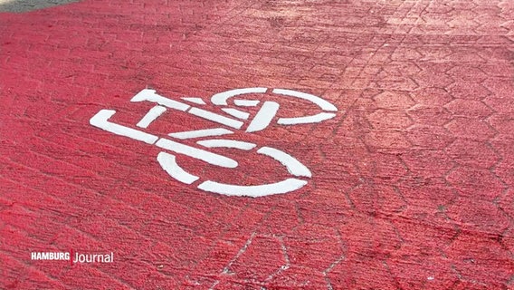 Roter Asphalt markiert die neue Fahrradstraße an der Hamburger Außenalster. © Screenshot 
