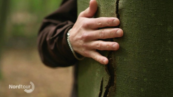 Eine Hand am Baum. © Screenshot 