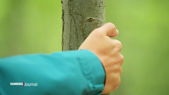 Eine Hand an einem Baum. © Screenshot 