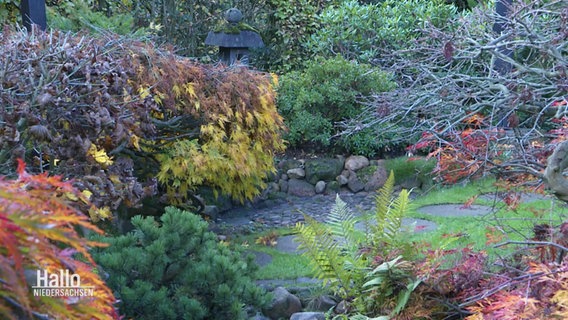 Ein japanischer Garten. © Screenshot 