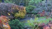 Ein japanischer Garten. © Screenshot 