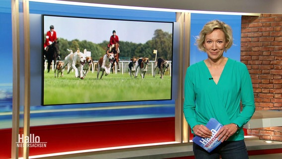 Christina von Saß moderiert Hallo Niedersachsen. © Screenshot 