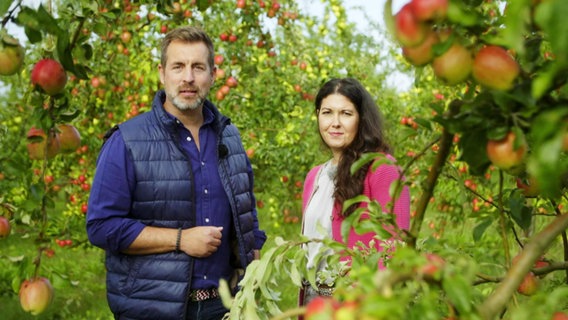 Arne Jessen und Vanessa Kossen stehen in einer Apfelplantage. © Screenshot 